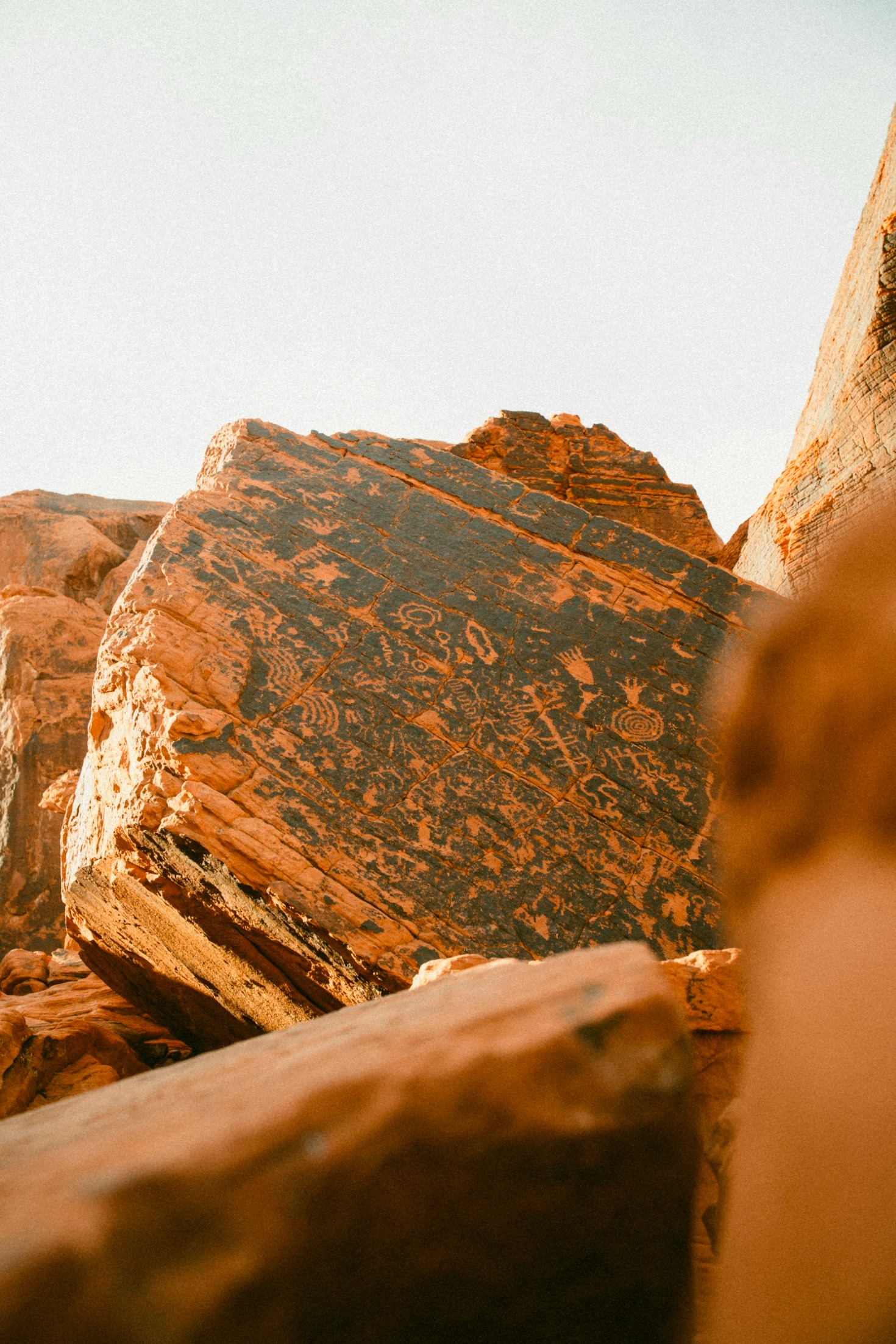 Arab American Healing Journeys: Stories and Insights