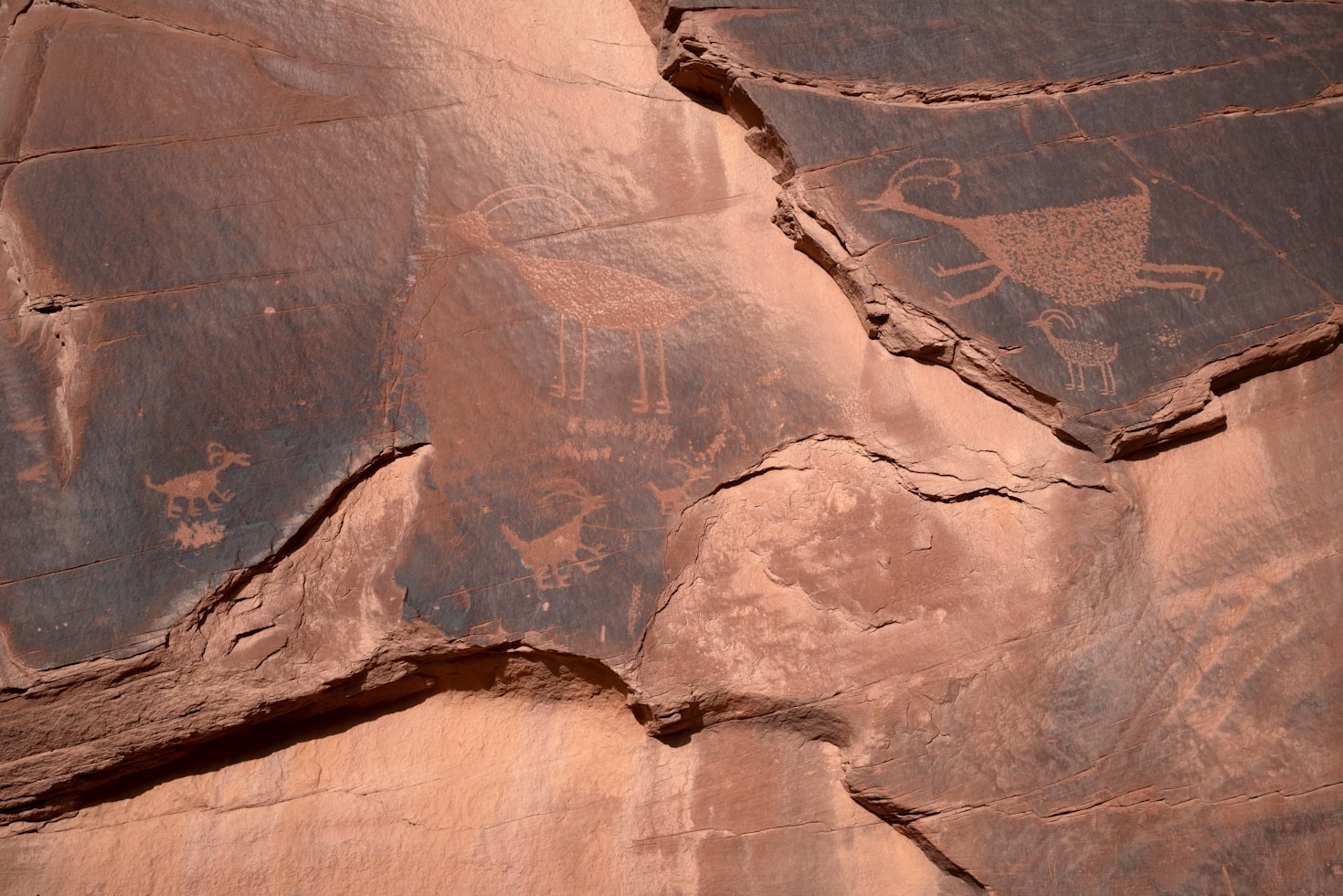 Finding Strength in Ancestral Wisdom and Practices